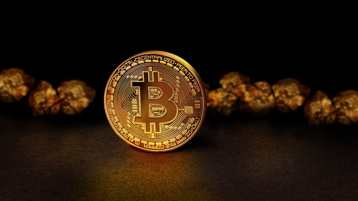 hamidyprod's tweet photo. 🇸🇻🎁 After the publication of Salvador’s #BTC wallet, >67 Ordinals, Inscriptions, etc., including the “Cypherpunk Manifesto,” have already been sent to it. https://t.co/adqhQM0fpH