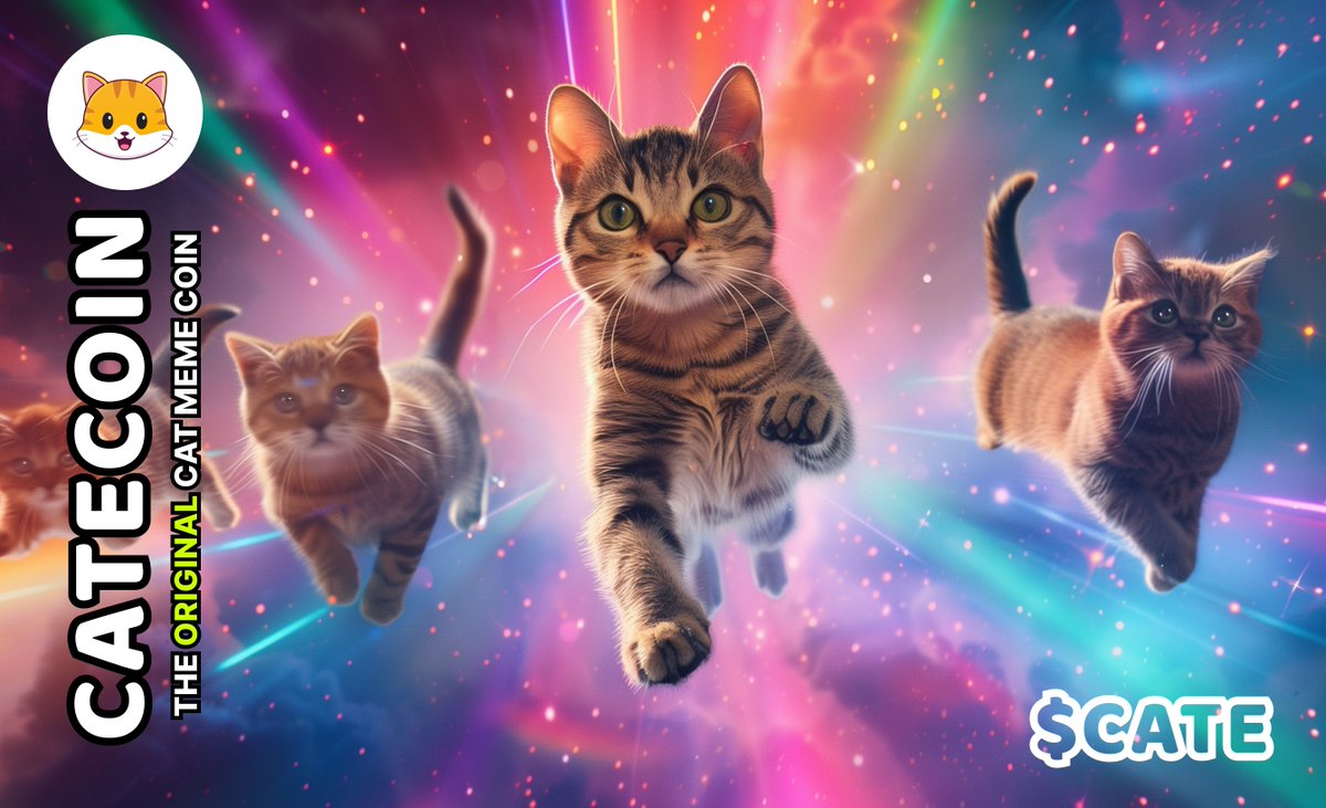 catecoin's tweet photo. @weirdlilguys Plotting the rescue mission!

Meow $CATE 🐈🚀
https://t.co/lRB67C86Rc @catecoin #catecoin #bsc #eth https://t.co/ff9DuC0us1