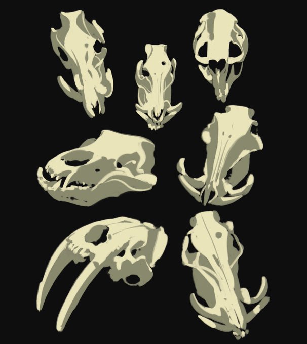 「bone skull」 illustration images(Latest)