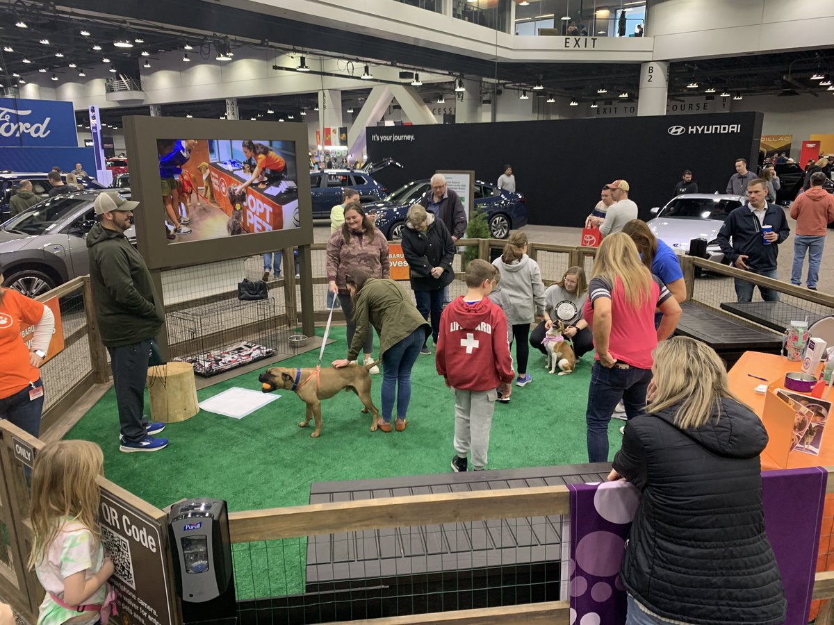 You know <a href="/subaru_usa/">Subaru</a> LOVES pets and its #CincyAutoExpo Pet Park is jumpin’! See an award-winning vehicle lineup including Outback, Impreza and Legacy and maybe help a pet find a forever home!