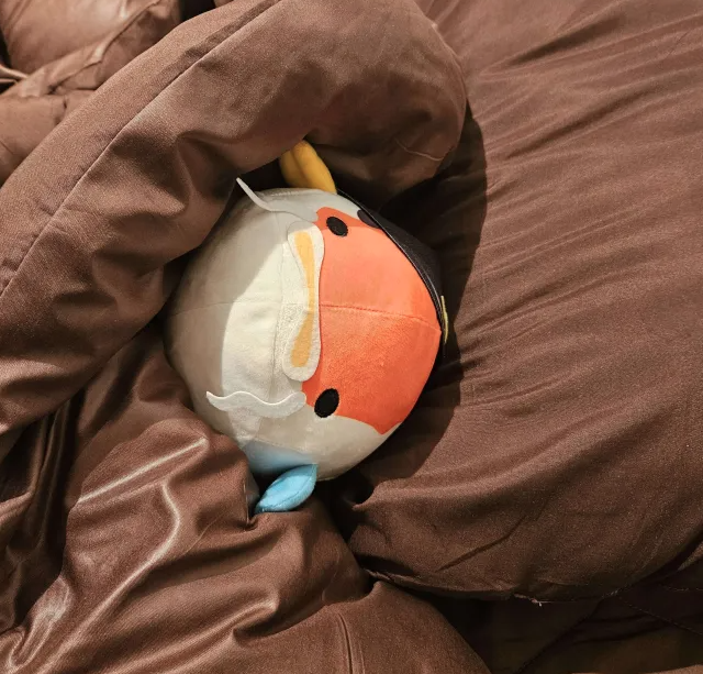 josuijishinri's tweet photo. what a day! puniko and i are very tired, so we're gonna get some sleep! hope everyone is excited for #hololivefesEXPO24_DAY2 tomorrow!! koi~yasumi~ https://t.co/vzHbw0WGzV