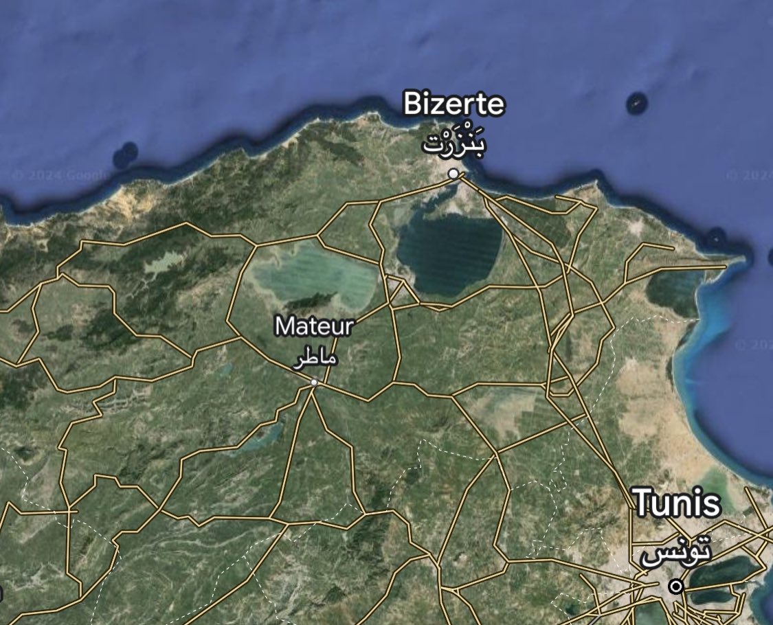 I’m after a bit of Tunisia birding gen… early April in the far north (primarily Bizerte area). Only planning to be there a few days, but hopefully will have some time to check out any decent sites. Any advice welcome 🙌