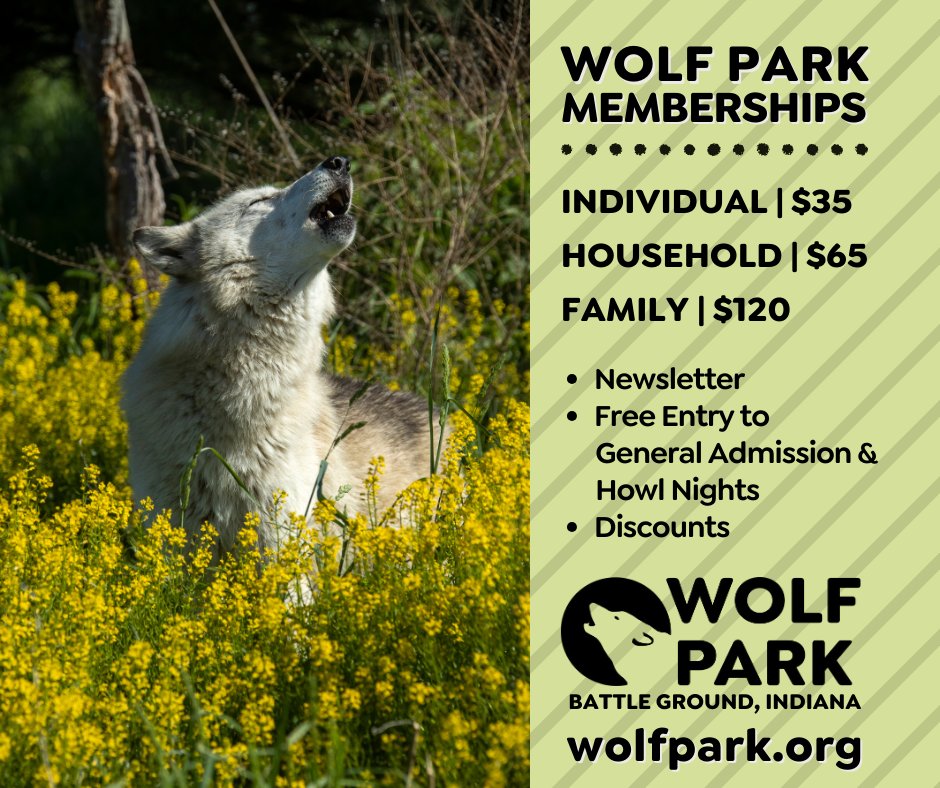 2024 Wolf Park Memberships🐺
Support Wolf Park's conservation, education, research & animal welfare efforts. Includes newsletter, freebies & discounts. It's a howling good time! bit.ly/WolfParkSponso…
#WolfPark #NewAdventures #wildlifeconservation #savewolves #savewilderness