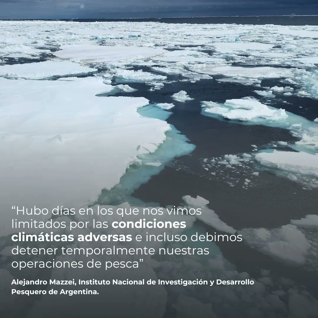 🇦🇶 Alianza clave para la observación científica en Antártica: Gino Liche (IFOP, 🇨🇱) y Alejandro Mazzei (INIDEP, 🇦🇷) recolectaron datos relevantes de austromerluza antártica a bordo de 🚢 Puerto Ballena. Su labor es clave para la conservación marina. inach.cl/establecen-ali…