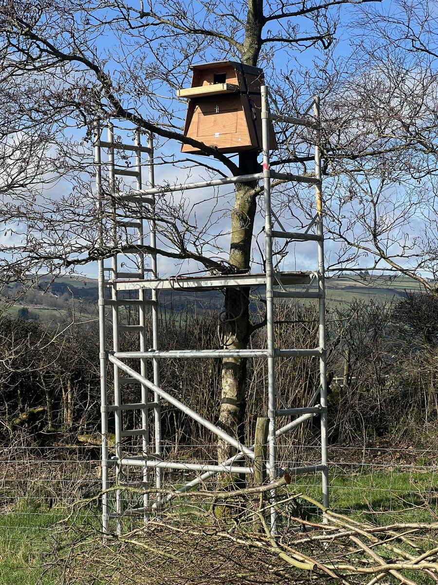 Jack Wallington tweet media