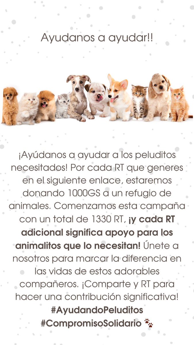 Alejandra Ferreira Rambo tweet media