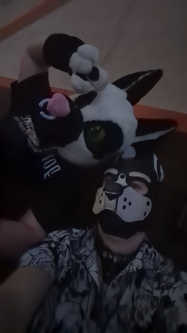 A pupper and a fur https://t.co/SPThM4e65O