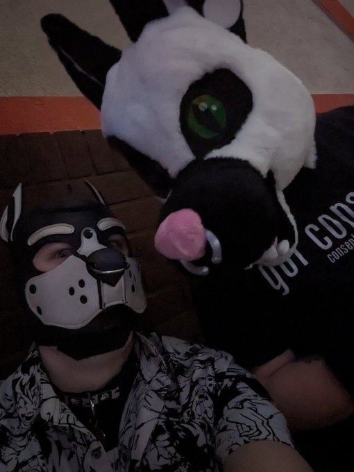 A pupper and a fur https://t.co/SPThM4e65O