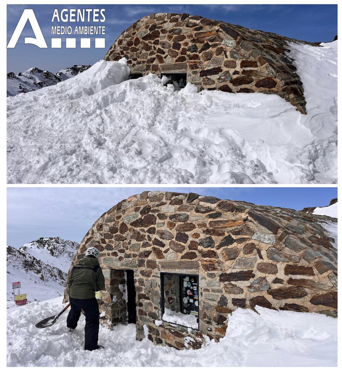 Entre las funciones de los Agentes #AAMM y Celadores #CCFF de #SierraNevada está supervisar los refugios de montaña.
En este caso la fuerte #nevada de hace una semana había tapado por completo la entrada.
Se ha dado acceso asi como retirar y limpiar la nieve que había entrado.