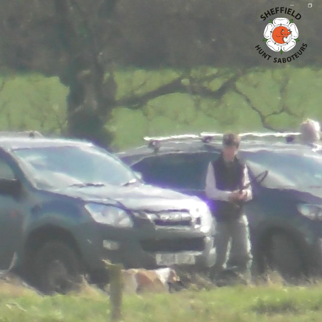 SheffHuntSabs's tweet photo. We found the Holme and Colne Valley Beagles trying to hunt hares in Ossington, Nottinghamshire today. A couple of blasts on our hunting horn had hunt support peering through binoculars to see us, then drudging back to their cars to make a run for it. Hare hunt stopped, job done! https://t.co/fxeUxBOFsf