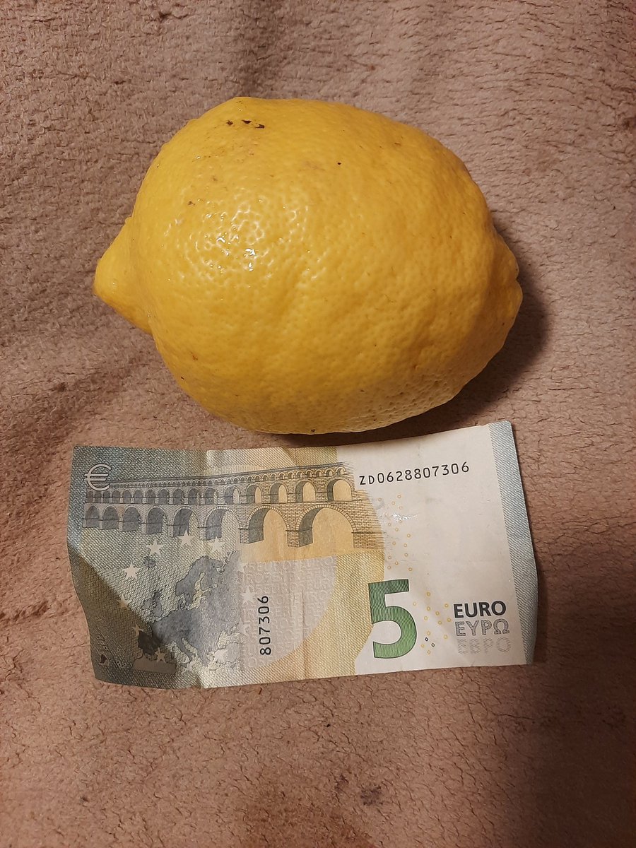 Eine Femminello siracusano Zitrone aus meiner <a href="/crowdfarmingco/">CrowdFarming</a> Lieferung.