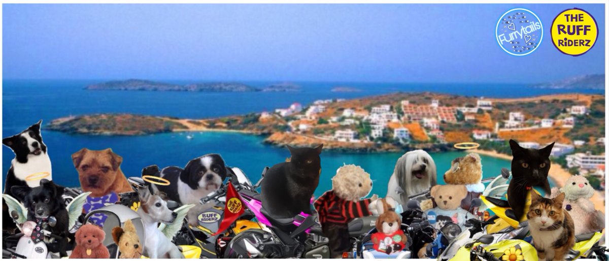 And Team FurryTails are now in Greece riding fur Claire #TheRuffRiderz