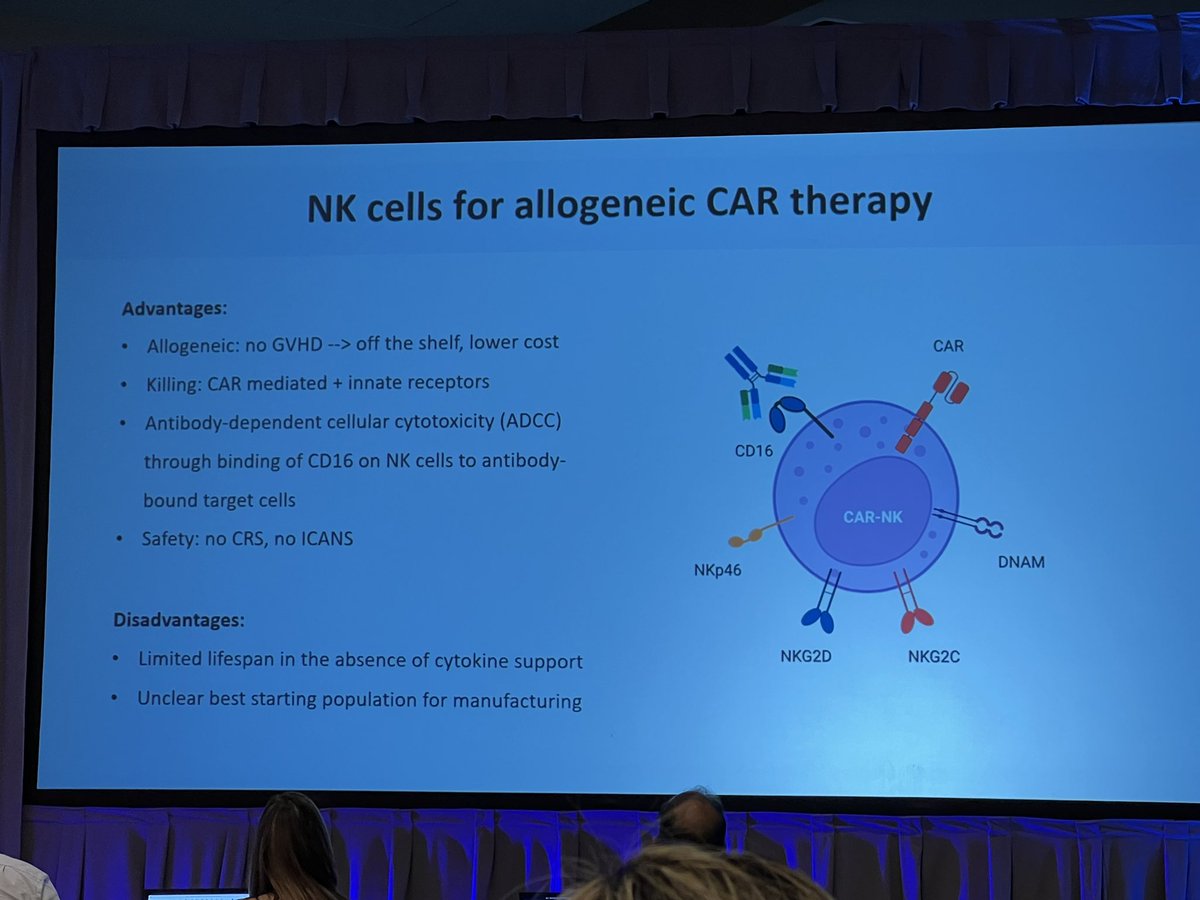Fantastic talk by Dr @HindRafei on current status of NK cell therapy Lots of ongoing trials in both hem and solid tumors 👏👏🙏🏽🙏🏽 @lab_rezvani @MDAndersonNews @BMDACCstemcell