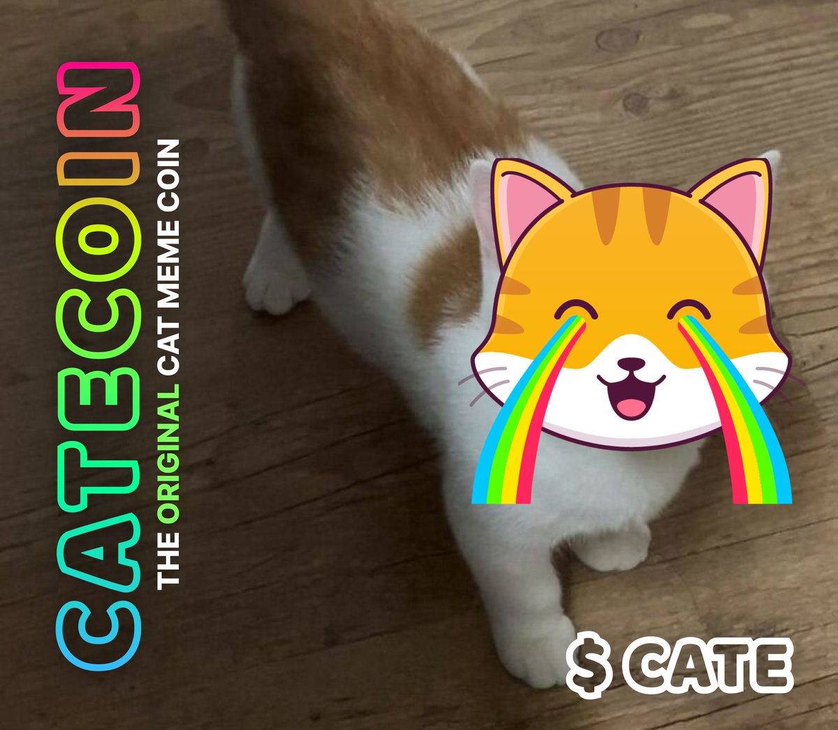catecoin's tweet photo. @nocontextscats Looks like me!!! 😻😻😻
$CATE
https://t.co/lRB67C86Rc @catecoin #catecoin #bsc #eth https://t.co/viBdtnhiWF
