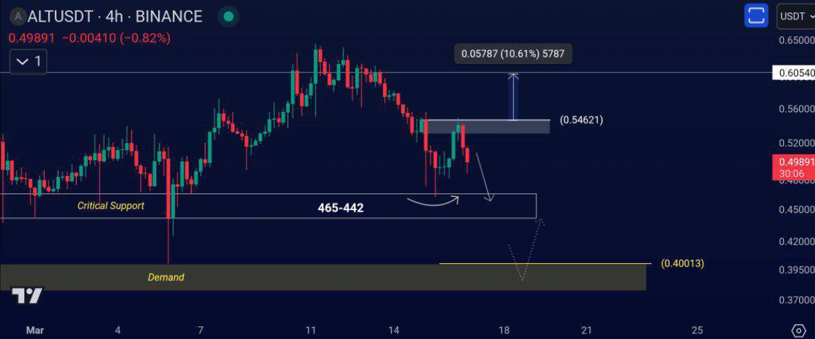 TradingCamp tweet media