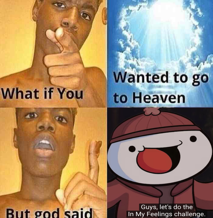 TheOdd1sOut tweet media