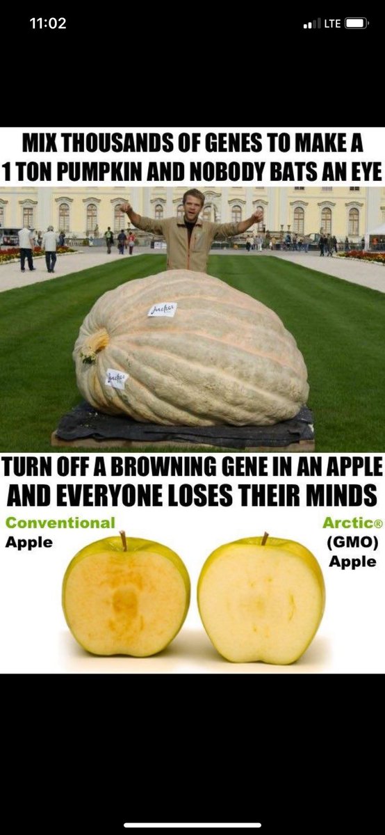 Matthew 'Murph' Murphy, PhD tweet media