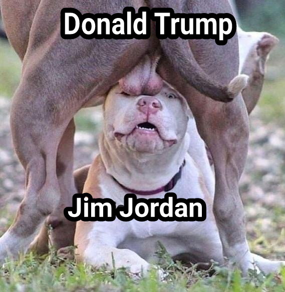 Gym Jordan : America's do nothing Congressman. He doesn't about the people of the USA. He only cares about pleasing His diaper wearing Orange Idol.