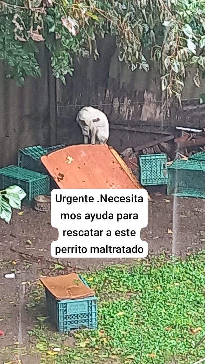 Denunciemos vecinos!!!