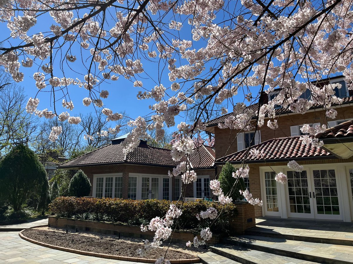 Peak bloom at the 🇫🇮 residence!