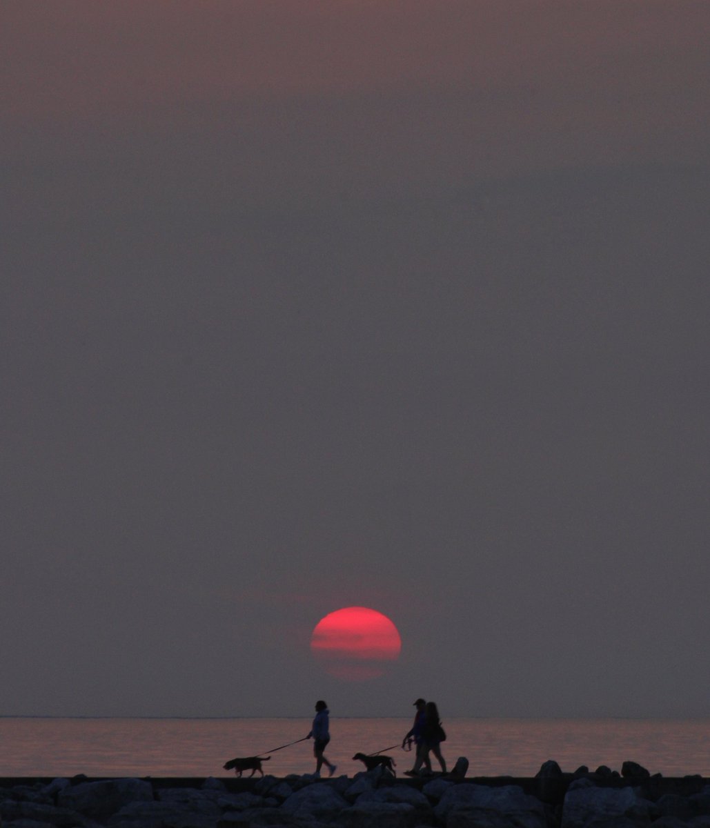 Last summer in Petoskey. 

#summer #summersunset #redrubberball #silhouette #dogs #latergram #michiganphotographer #petoskey #petoskeymichigan #lakemichigan #lakemichigansunset #greatlakesstate #hazy #lastsummer #dreamingofsummer #fromthearchives #rightplacerighttime #canon