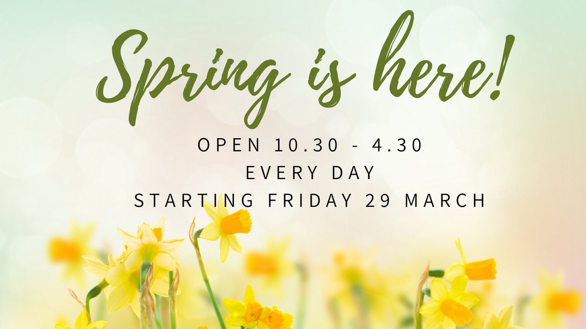 🐰 from Good Friday we're open every day, 10.30 until 4.30. 
#swc300