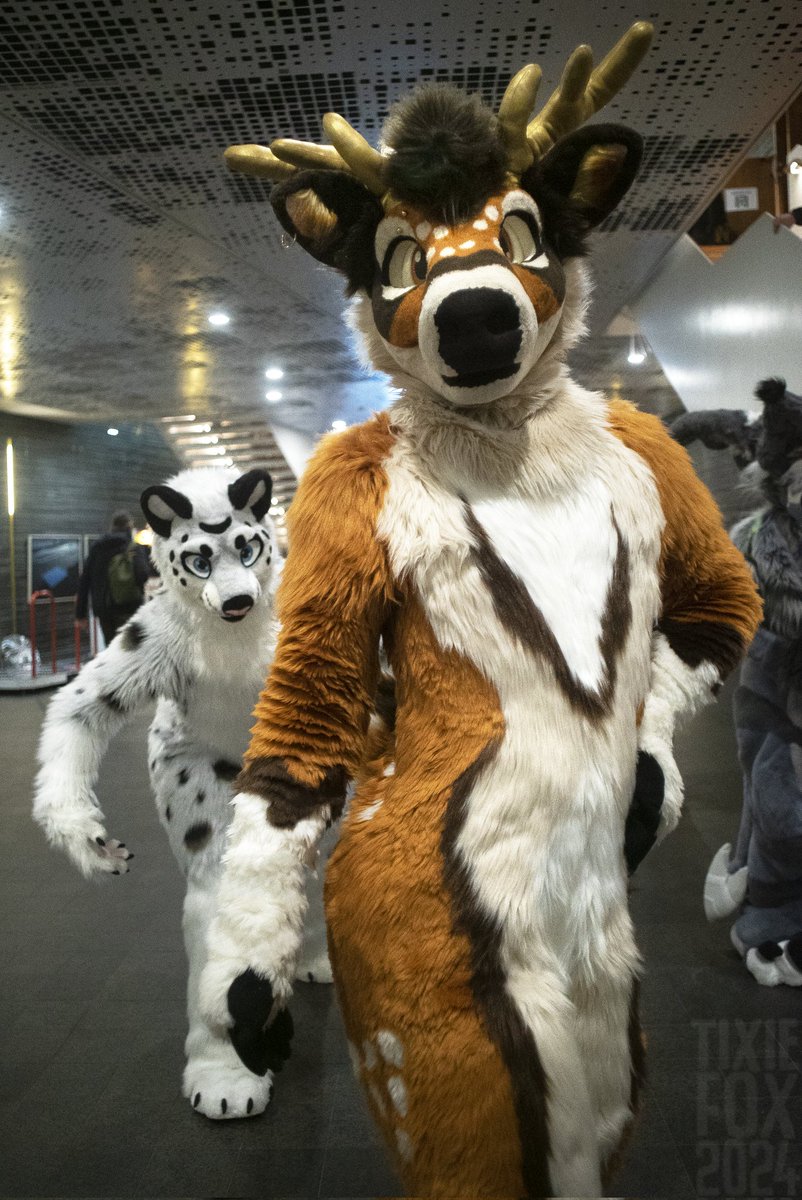 Heheh.. <a href="/vincehooves/">Vincent🇬🇧🇵🇱 🔜 Daytona 24h, NFC</a> about to be in for a surprise 😁

📸: the marvelous <a href="/Tixiefox/">T i x i e f o x</a>
#FursuitFriday