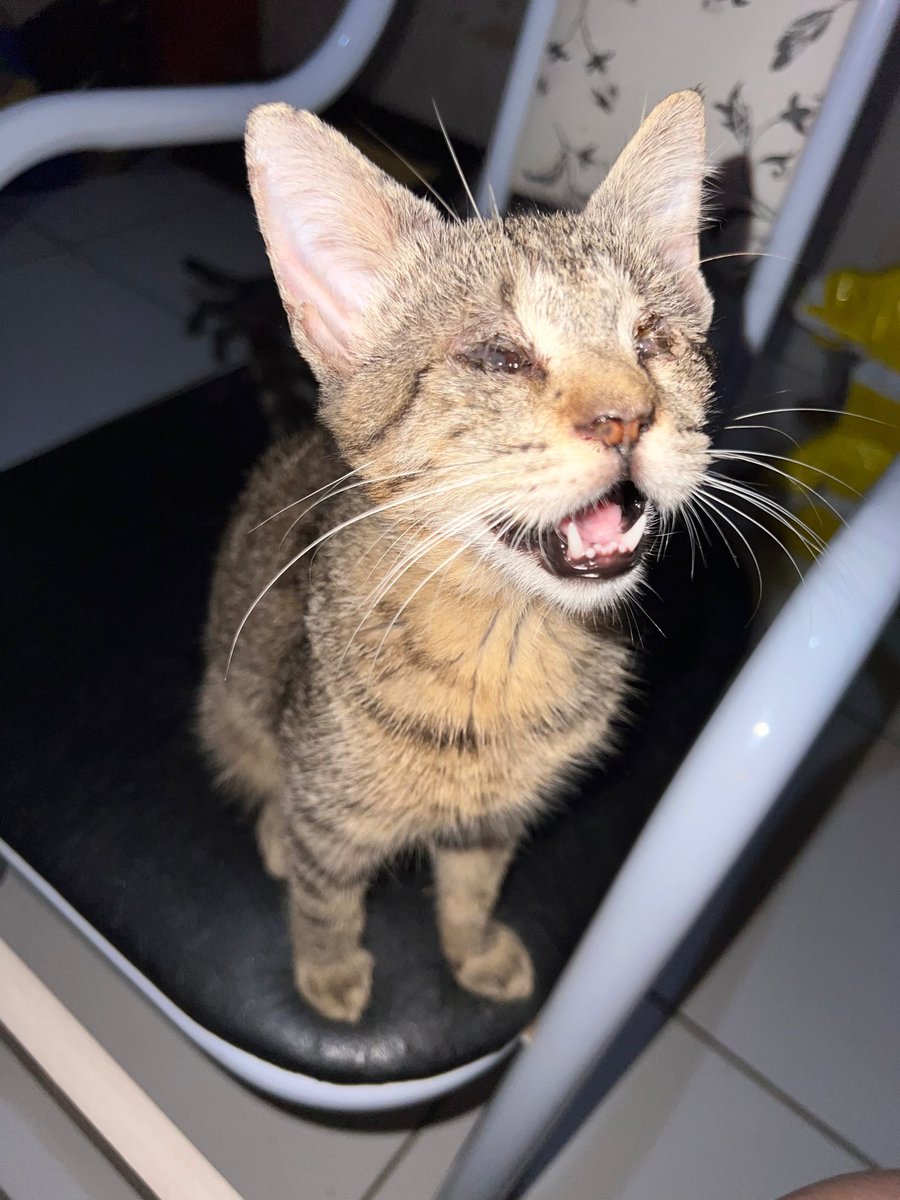 Oi, pessoal! Tudo bem?
Daqui a pouco a loja vai fechar e não vamos ter o que comer esse fim de semana.
Ontem o pedreiro não trabalhou a tarde, além da falta de materiais falta também recurso para pagar ao pedreiro e assim, não podemos cobrar nada dele, ficamos sendo humilhados