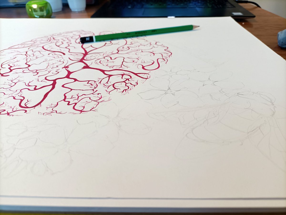 Dr. Anja Garone, RN tweet media