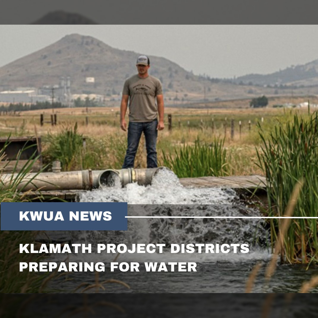 In the loom of potential floods on UKL, Klamath Project districts are preparing to move water through their systems. This includes filling portions of Tule Lake and Lower Klamth NWRs. 

kwua.org/klamath-projec…

#KlamathProject #watermanagement #environmentalstewardship