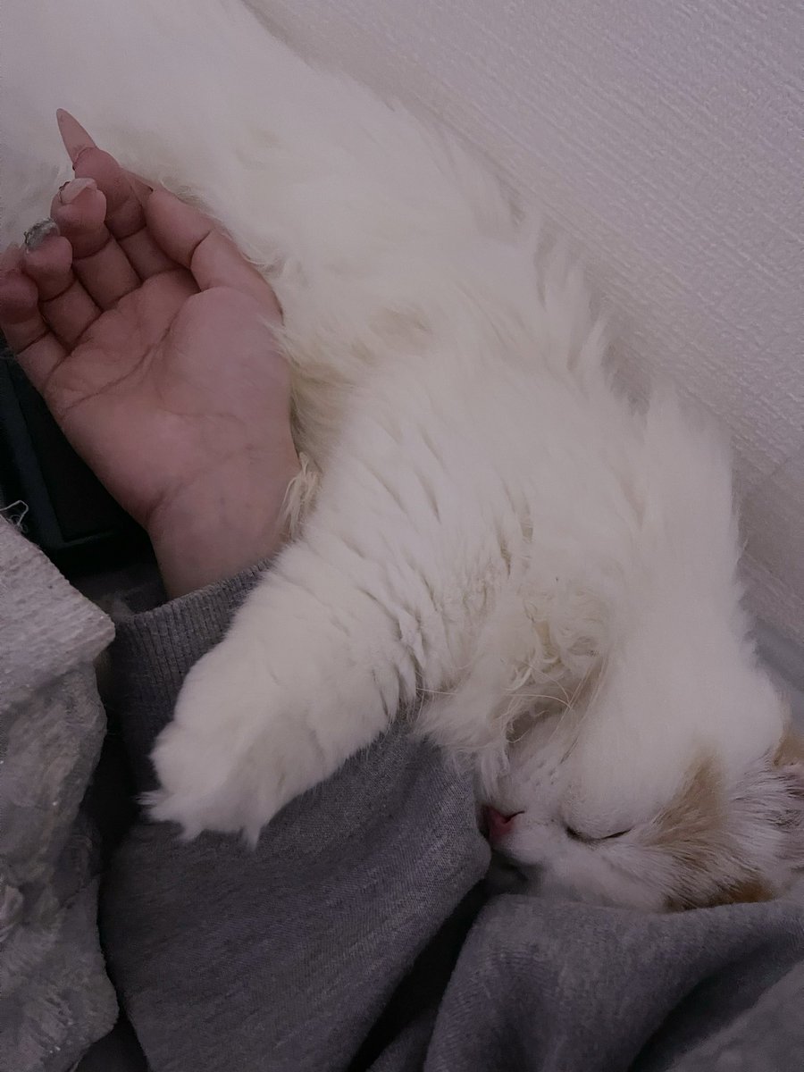 7m7nyn's tweet photo. https://t.co/NT8W0zu3a6