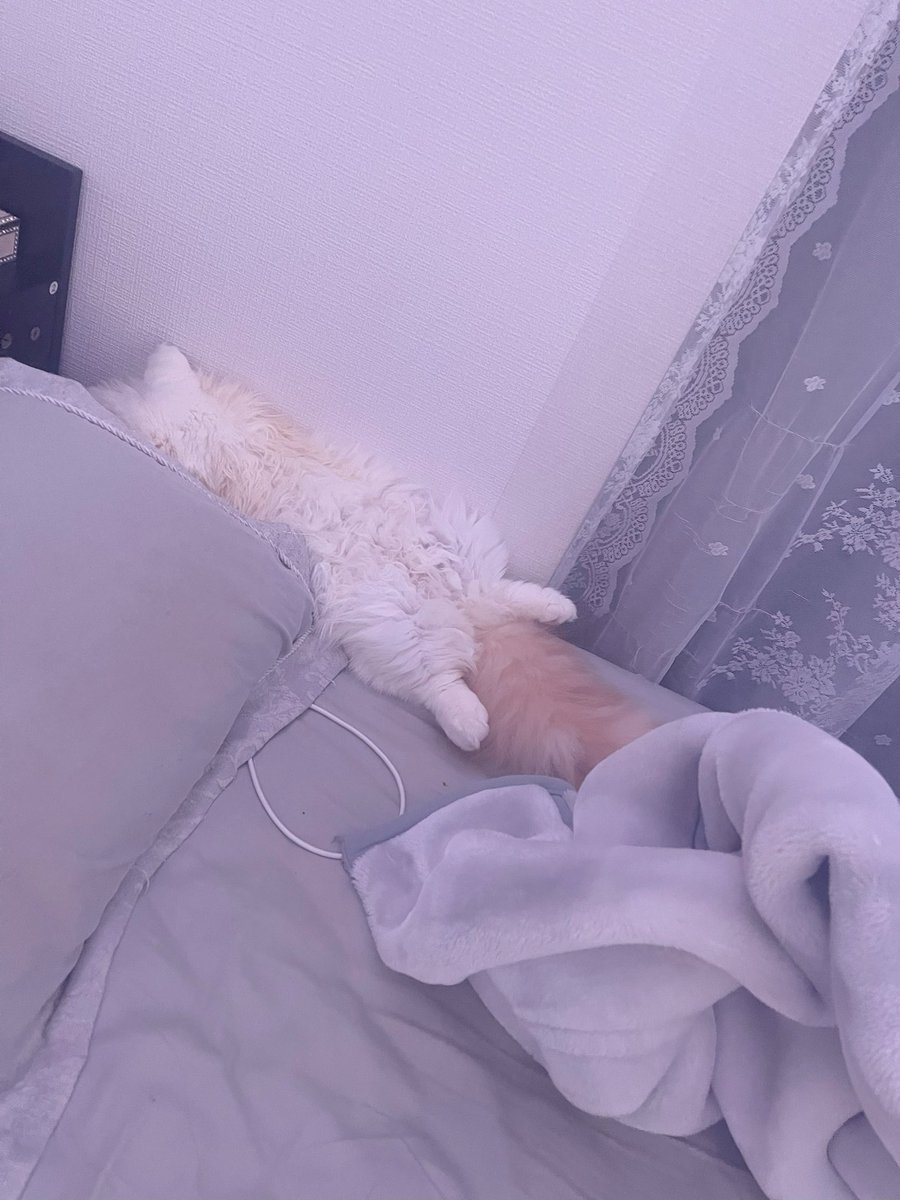 7m7nyn's tweet photo. https://t.co/NT8W0zu3a6