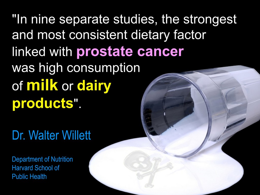 frasier_hal's tweet photo. Cows' milk is for baby cows. 
It's packed full of hormones perfect for fast growing calves.  
It's not meant for fully grown adult humans.
#dairy #cancer https://t.co/jer8RfNafv