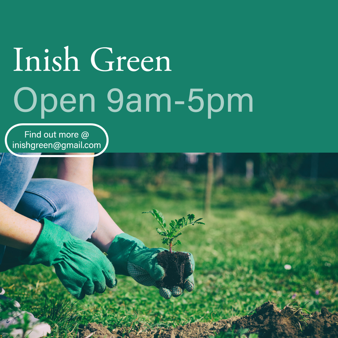 Inish Green tweet media