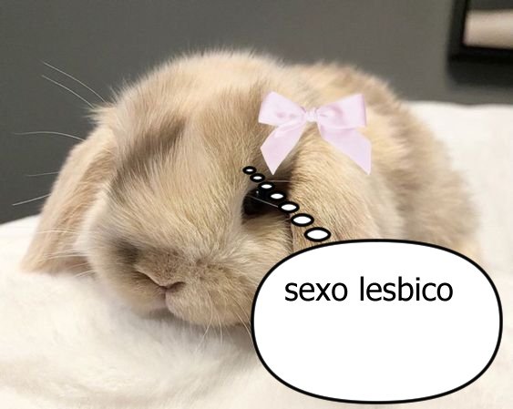 odeiootaco tweet picture