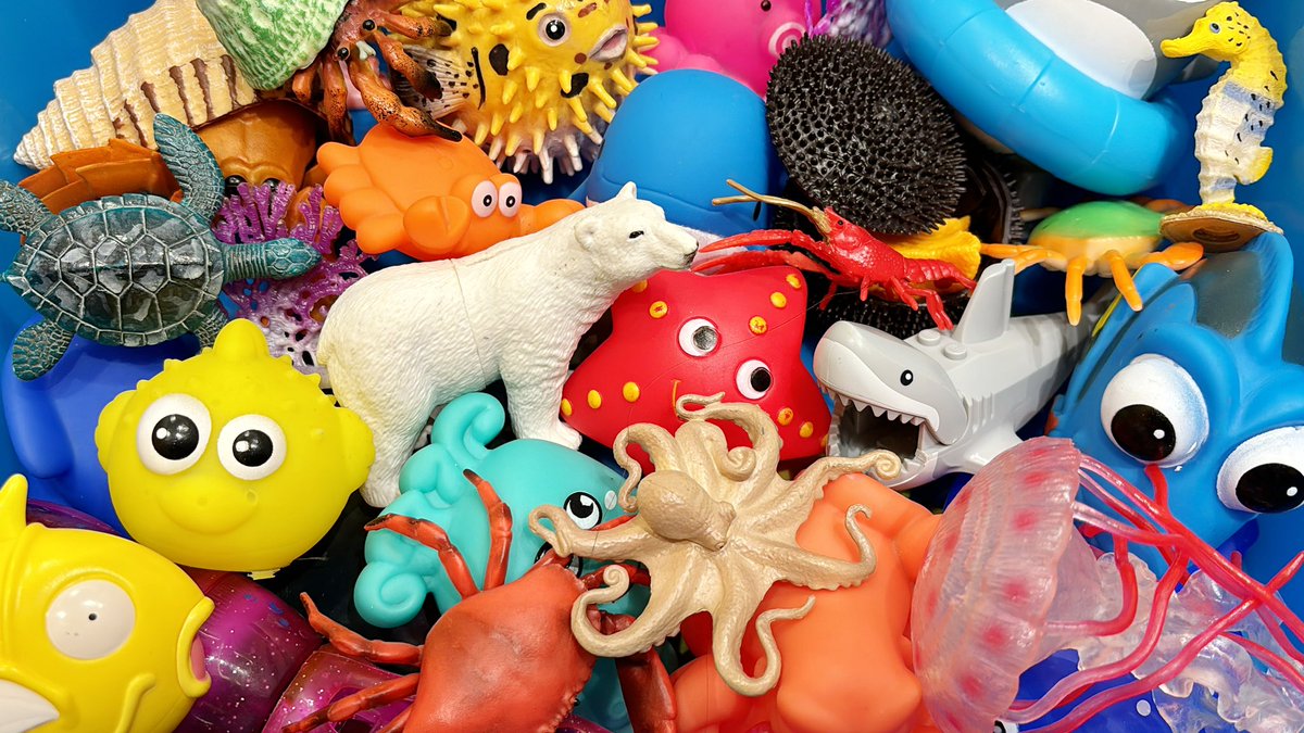 maxntoys's tweet image. What Sea Animal Am I? I Guess Sea Animal Shadow I Animal Quiz I Ocean Creatures I Animals For Kids

youtu.be/6d5m6YlzHx0

#animalquiz #animalnames #guesstheanimal #seaanimalquiz #youtubekids #oceancreatures #toddlerlearning #kidlearning #educationalvideo #learning #forkids