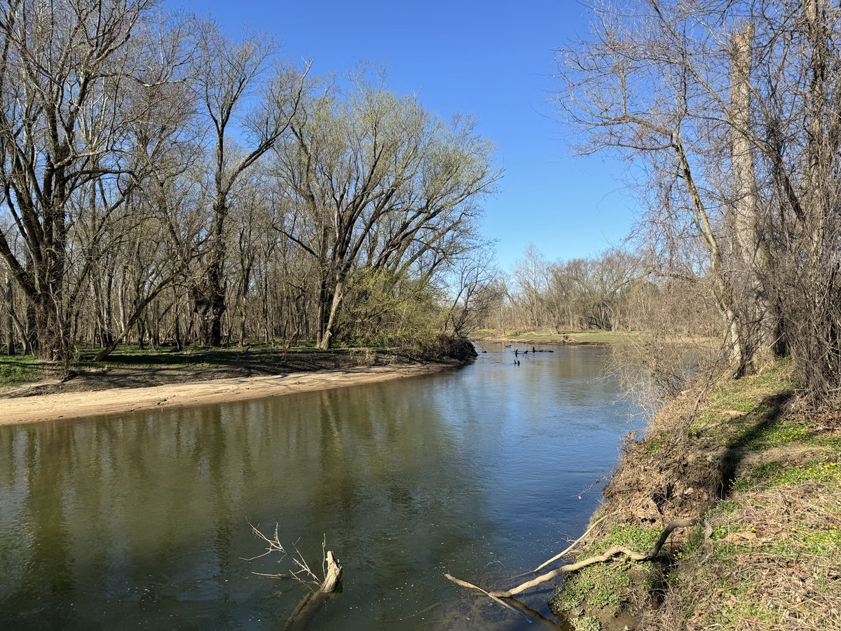 Matt Ogburn (@oceanogburn) on Twitter photo Crazy how early spring is this year! Great day for river herring research! <a href="/SERCfisheries/">SERC Fisheries Conservation Lab</a> <a href="/SmithsonianEnv/">SmithsonianEnv</a> Crazy how early spring is this year! Great day for river herring research! <a href="/SERCfisheries/">SERC Fisheries Conservation Lab</a> <a href="/SmithsonianEnv/">SmithsonianEnv</a>