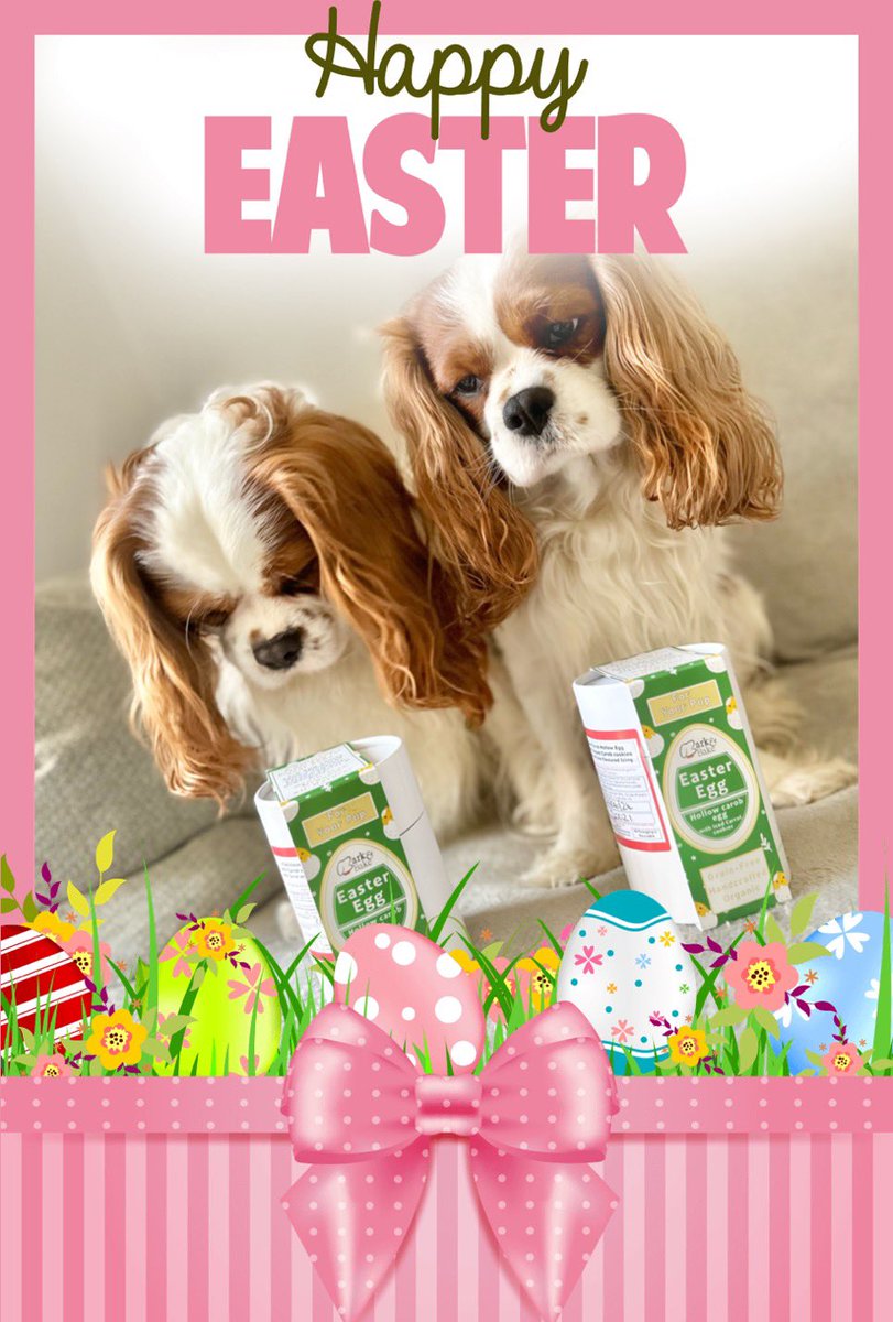 Happy Easter friends 🐣 Wishing you a wonderful Easter 💛 Love and boops 🥰 #DogsofX #cavpack #Easter 🐰