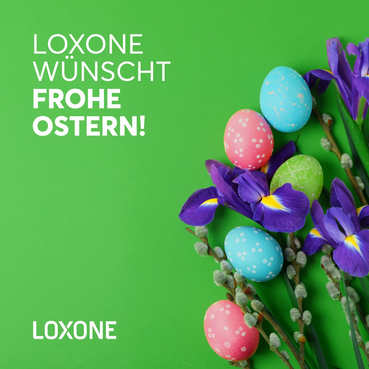 Frohe Ostern vom Loxone Team! 🐰