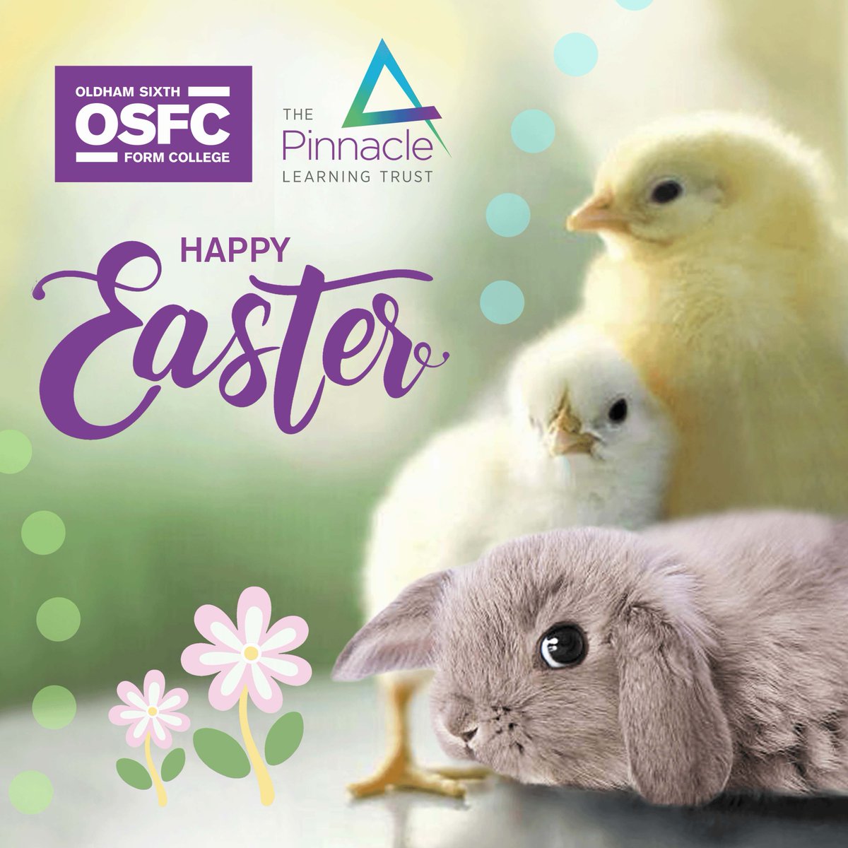 Happy Easter from everyone at OSFC!