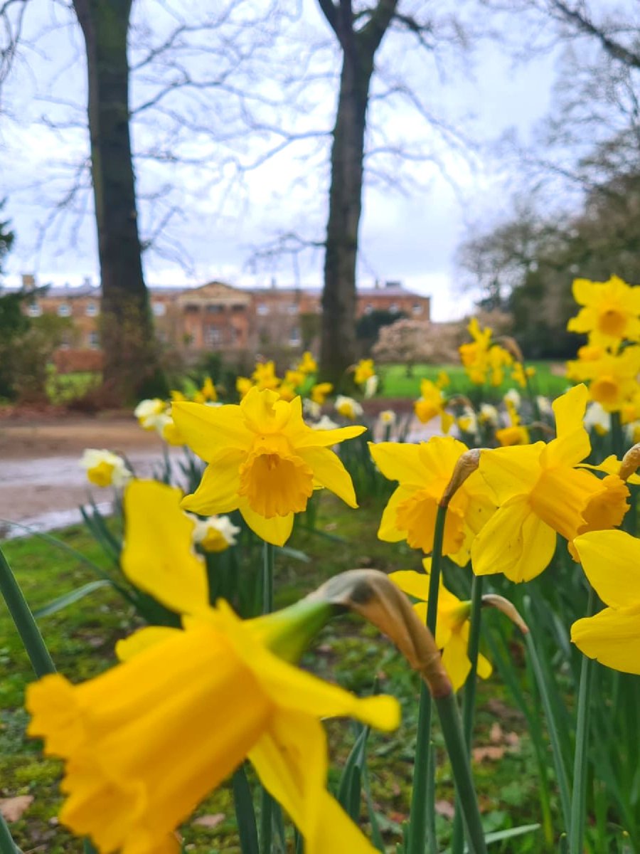 Happy Easter from Hillsborough Castle! 🐰 Share your spring #PalacePhotos in the comments 🌸👇