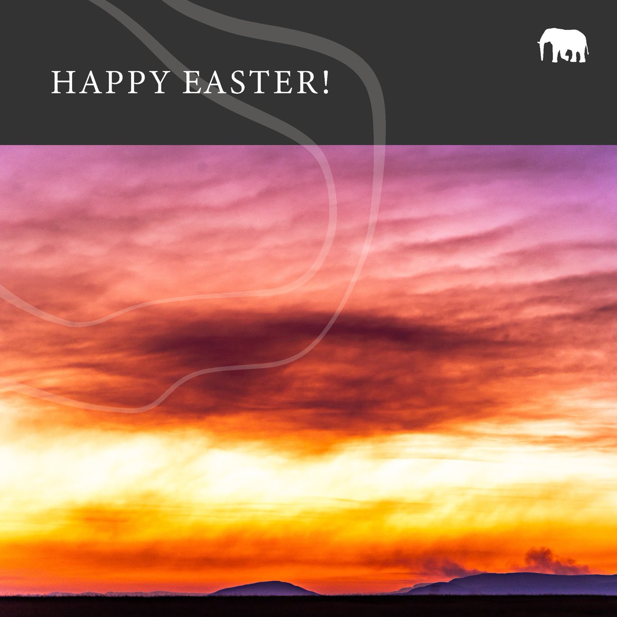 Wishing you a Happy Easter from all of us at Nambiti! May your day be filled with joy, peace, and special moments with your loved ones.
