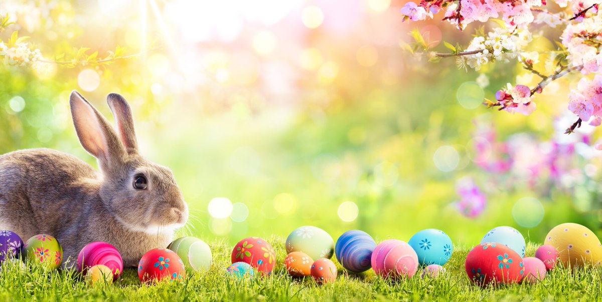 Happy Easter from all at NFU Mutual Llantrisant 🐰