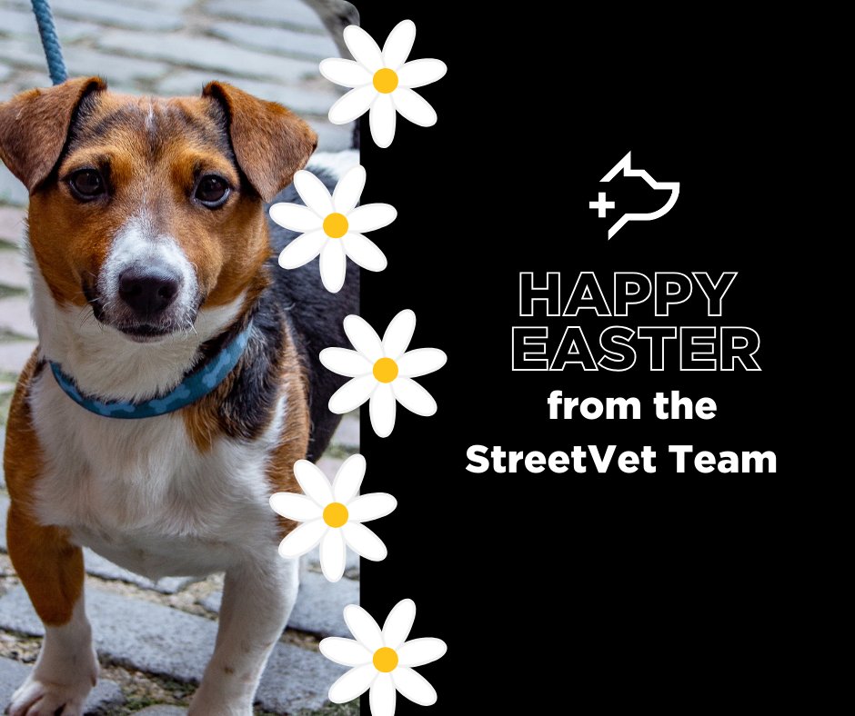 #StreetVet is wishing you the happiest Easter break! Whilst you tuck into your 🍫 remember that there are pets experiencing homelessness who can sniff out these tasty treats, which causes them great harm - make sure you bin your chocolate safely 😊 #PetPoisonsAwarenessWeek