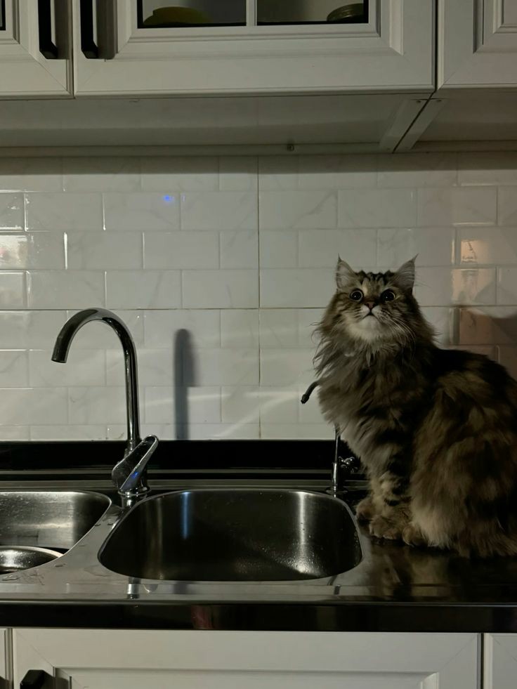 ㅤ     ㅤㅤ     ㅤㅤ     ㅤㅤ     ㅤㅤ     ㅤㅤ

     ㅤ     ㅤㅤ     ㅤㅤ     ㅤㅤ     ㅤㅤ     ㅤㅤ     ㅤㅤ     ㅤㅤ     ㅤㅤ