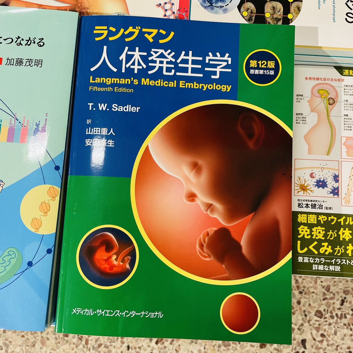 新品]ラングマン人体発生学 第12版 【公式通販】