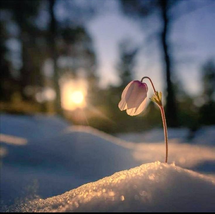 مخالفت ڈٹ کے کریں لیکن منافقت کبھی نہ کریں

کیونکہ

مخالفت جرت مند دلیر اور خاندانی لوگ کرتے ہیں لیکن منافقت بزدلوں اور بد نسلوں کی صفت ہے