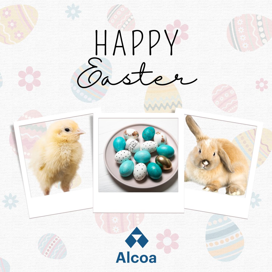 Wishing a Happy Easter Sunday to all who celebrate! 🐰🍫 #happyeaster #easter2024 #spring