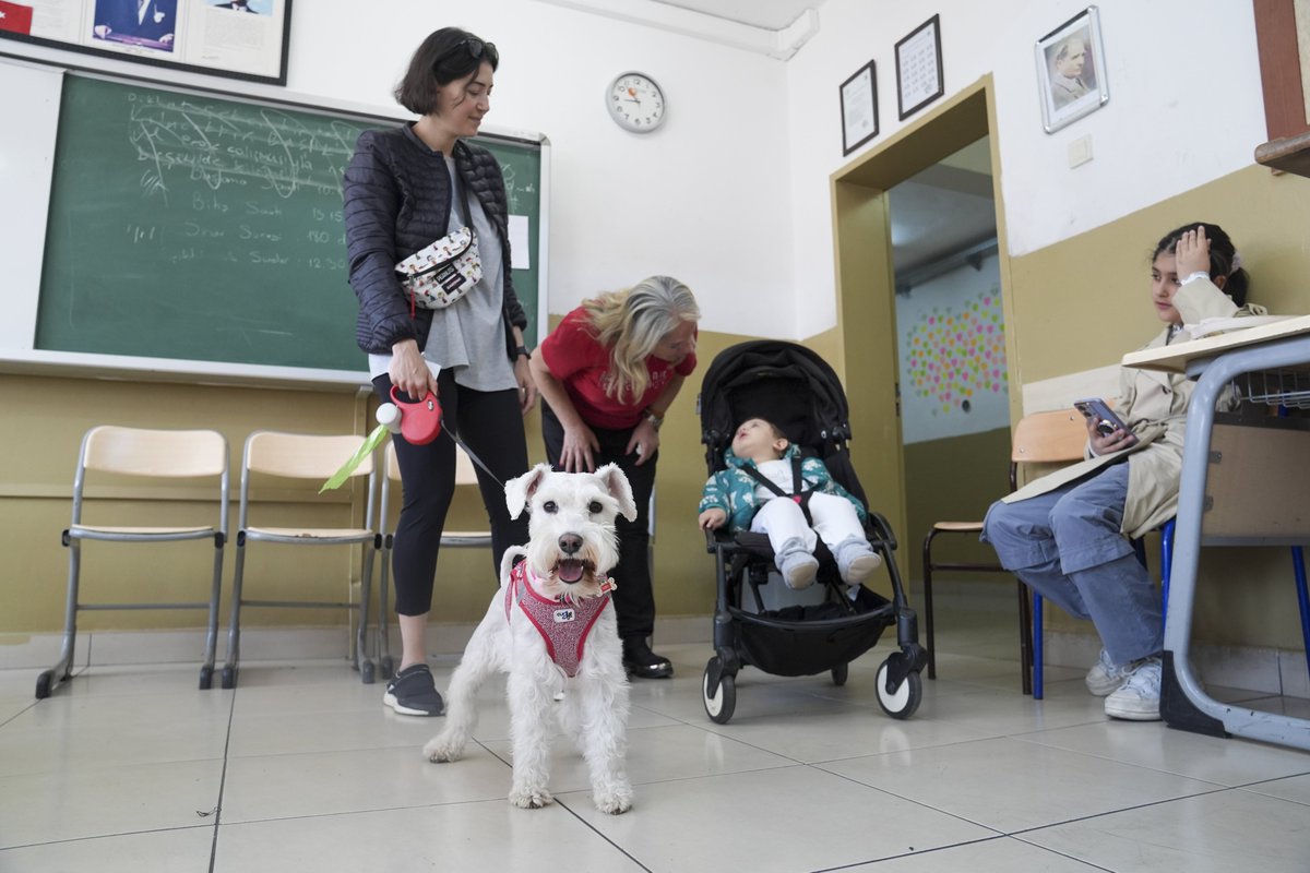 Birçok vatandaş oy kullanmaya can dostları ile birlikte geldi.