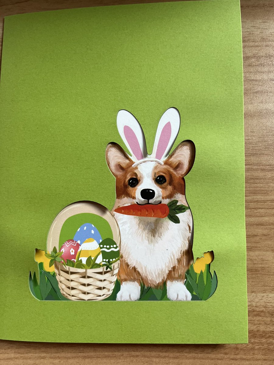 Dr. Nicole tweet media